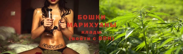 не бодяженный Белокуриха